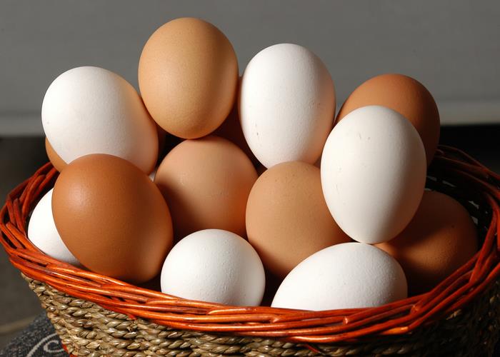Yumurta  Üretimi
